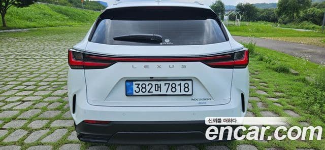 Lexus NX350h 2026 — фото 4 из 20