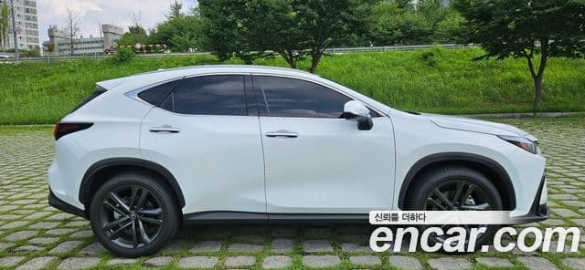 Lexus NX350h 2026 — ფოტო 10/20