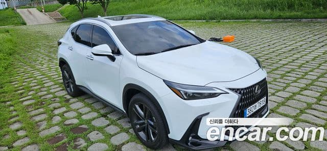 Lexus NX350h 2026 — ფოტო 6/20