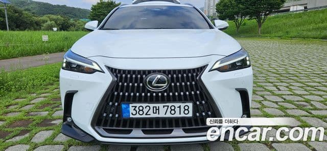 Lexus NX350h 2026 — ფოტო 7/20