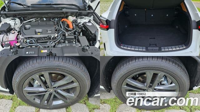 Lexus NX350h 2026 — ფოტო 20/20