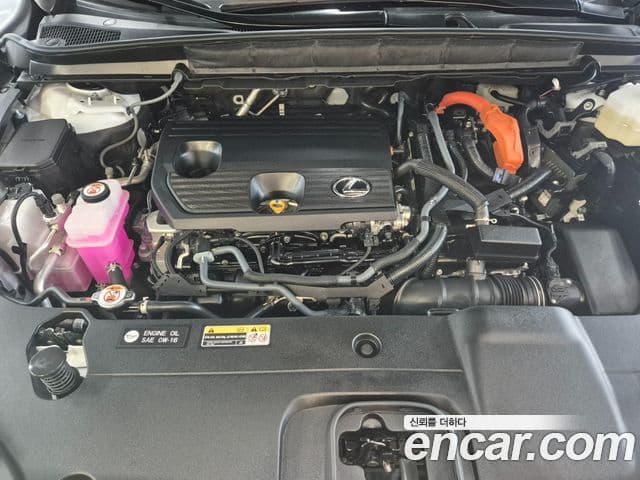 Lexus RX350h 2025 — Şəkil 16/20