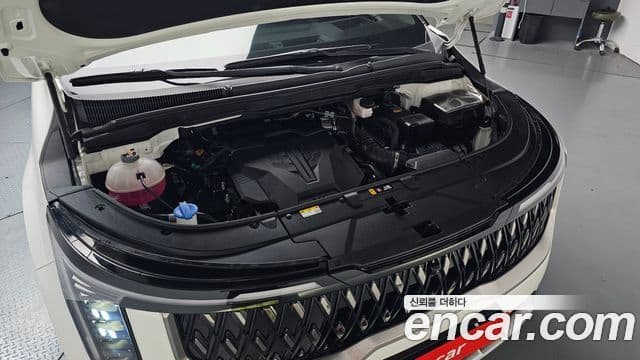 Kia Carnival 2024 — ფოტო 6/20