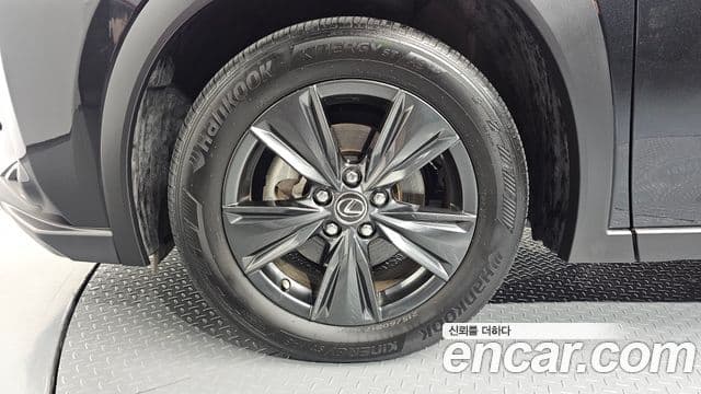 Lexus UX250h 2023 — Şəkil 5/20