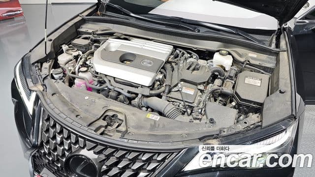 Lexus UX250h 2023 — Şəkil 6/20