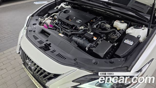 Lexus ES300h 2024 — ფოტო 5/20