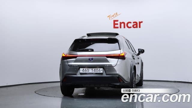Lexus UX250h 2019 — Şəkil 4/20