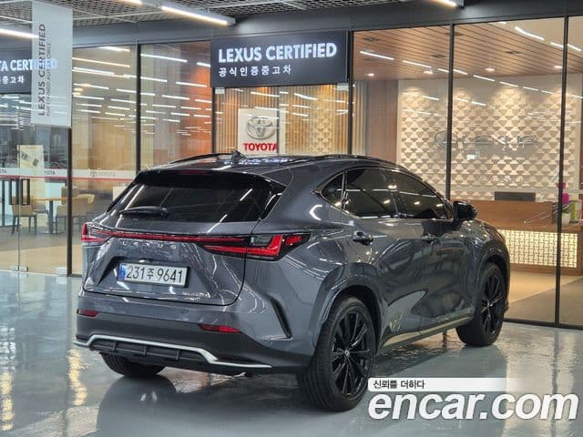 Lexus NX450h+ 2025 — Şəkil 10/20