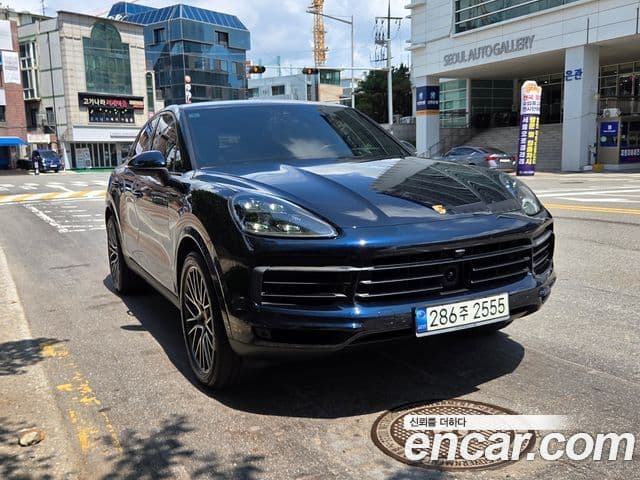 Porsche Cayenne 2021 — ფოტო 15/20