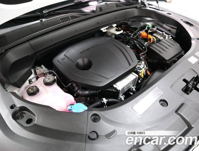 Renault Samsung Grand Koleos 2026 — ფოტო 13/20