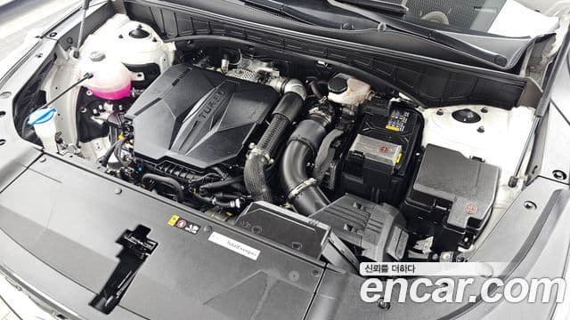 Kia Sorento 2025 — Фото 6/20