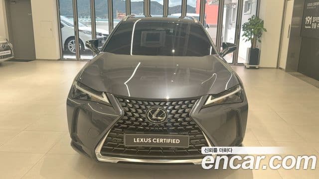 Lexus UX300h 2025 — Фото 2/14