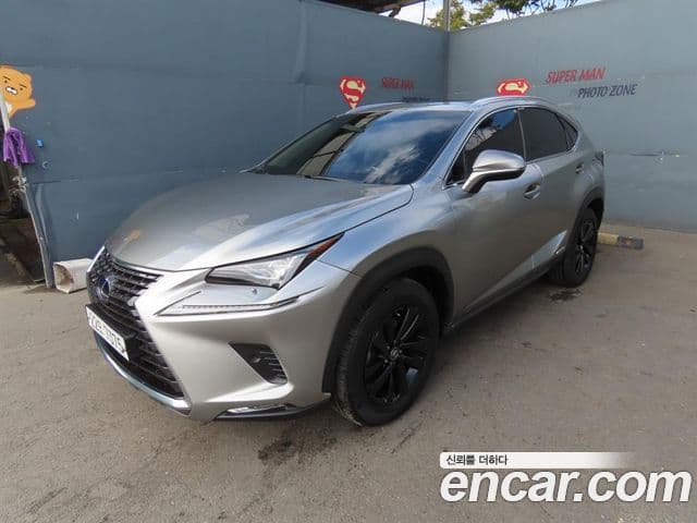 Lexus NX300 2018 — Şəkil 10/20