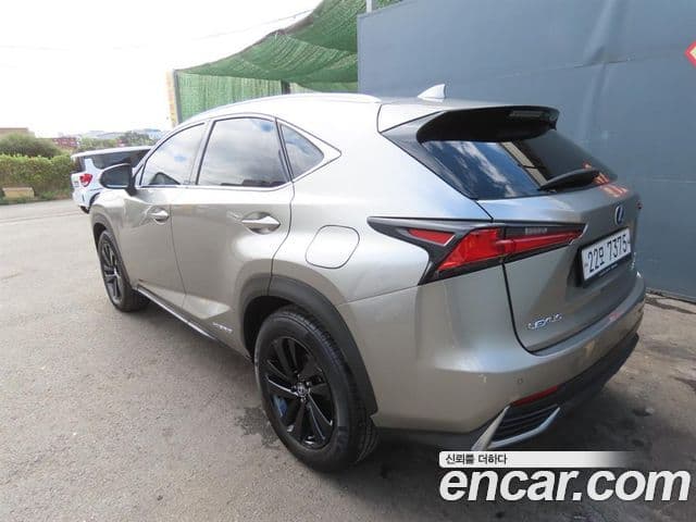 Lexus NX300 2018 — фото 2 из 20
