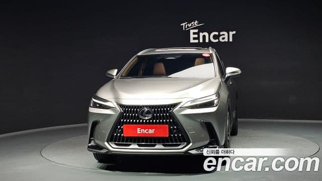 Lexus NX350h 2024 — ფოტო 3/20
