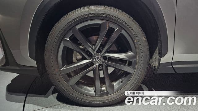 Lexus NX350h 2024 — фото 5 из 20