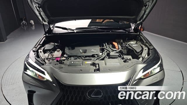 Lexus NX350h 2024 — ფოტო 6/20