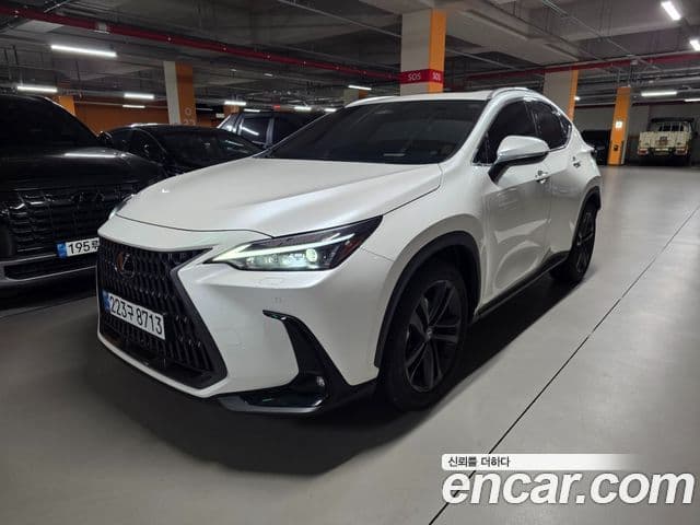 Lexus NX350h 2024 — ფოტო 10/14