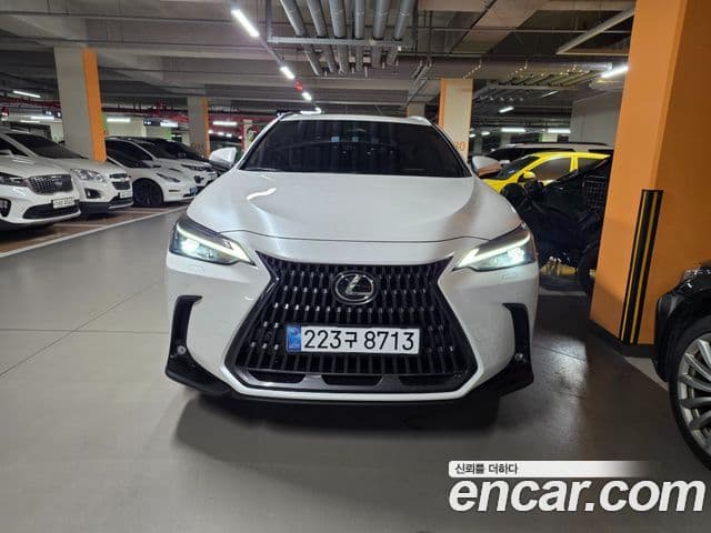 Lexus NX350h 2024 — ფოტო 2/14