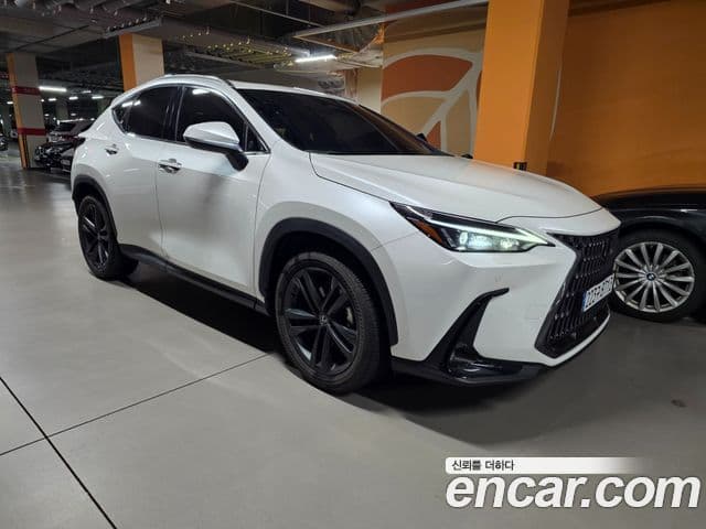 Lexus NX350h 2024 — ფოტო 4/14