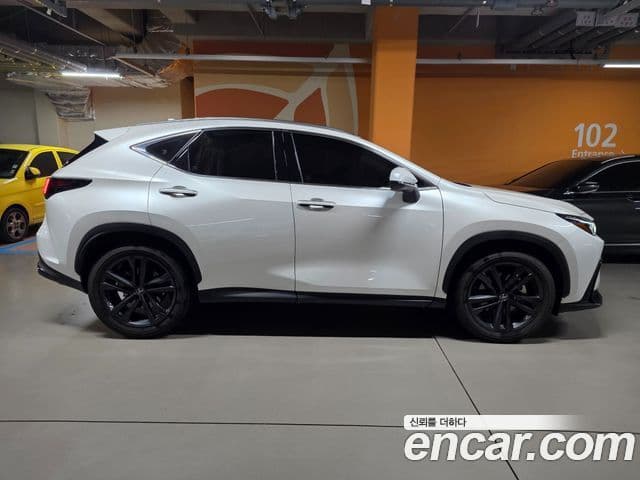 Lexus NX350h 2024 — ფოტო 5/14