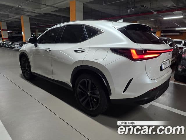 Lexus NX350h 2024 — ფოტო 13/14