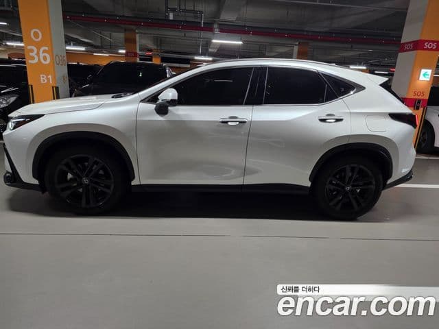 Lexus NX350h 2024 — ფოტო 14/14