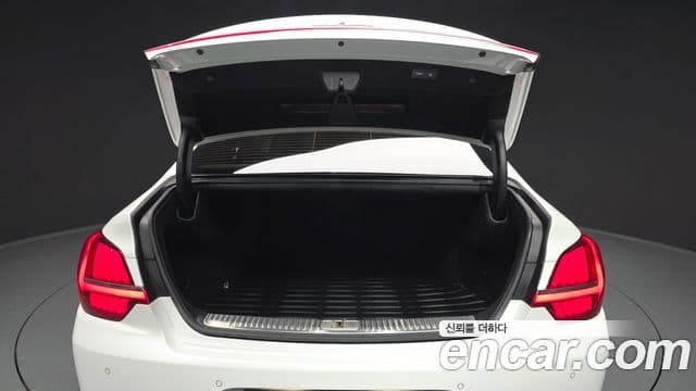 Kia The K9 2021 — ფოტო 20/20