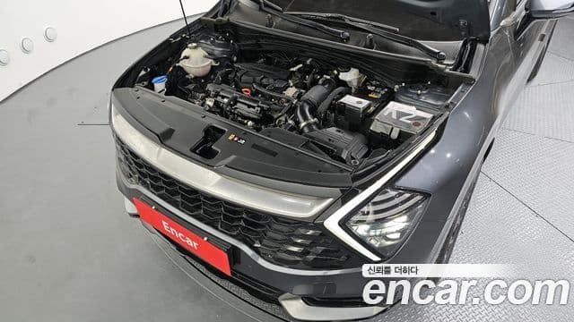 Kia Sportage 2023 — ფოტო 6/20