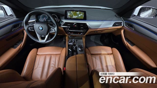 BMW 5 Series 2018 — ფოტო 10/20