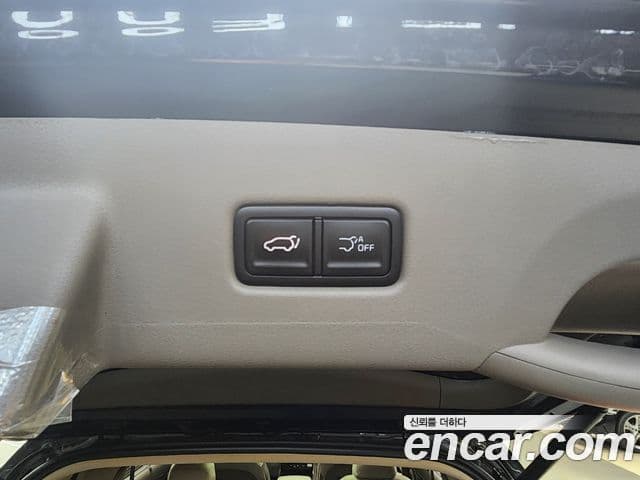 Kia Carnival 2025 — ფოტო 19/20