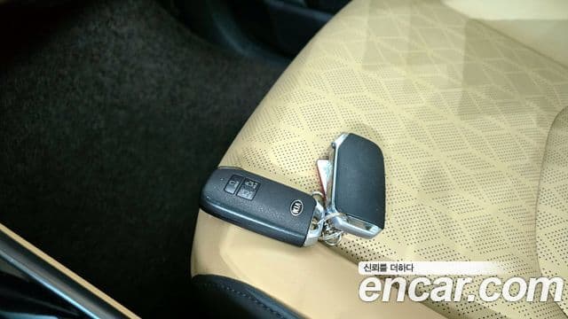 Kia Carnival 2021 — ფოტო 15/20