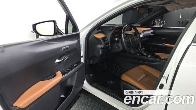 Lexus UX250h 2019 — Şəkil 9/20