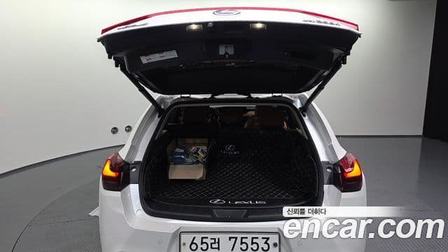 Lexus UX250h 2019 — Şəkil 20/20