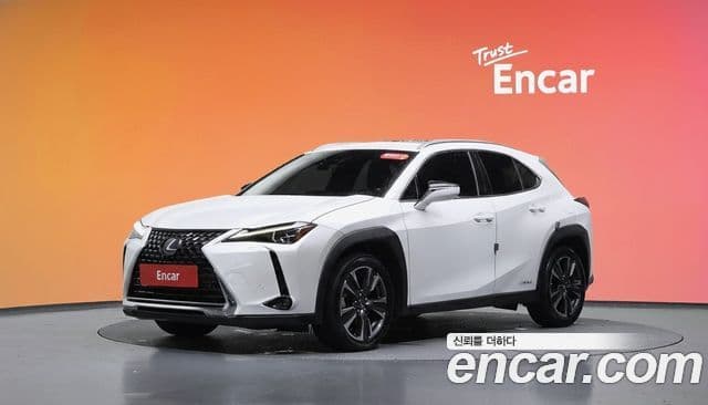 Lexus UX250h 2019 — Şəkil 1/20
