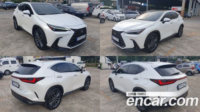 Lexus NX350h 2023 — Фото 15/18