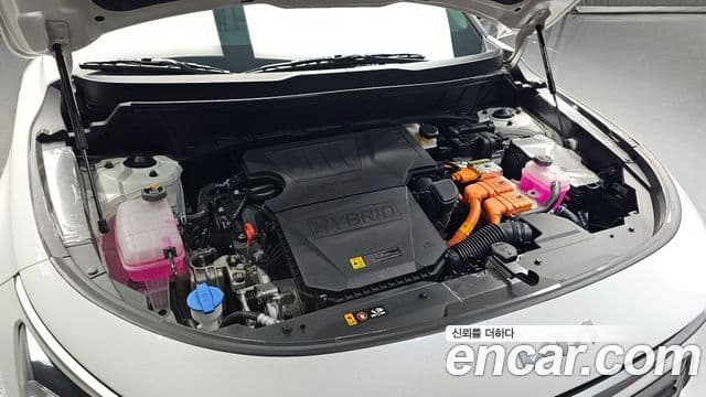 Kia Niro 2025 — Şəkil 6/20