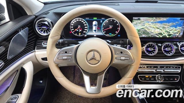 Mercedes-Benz CLS-Class 2019 — ფოტო 14/20