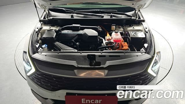 Kia Sportage 2024 — ფოტო 6/20