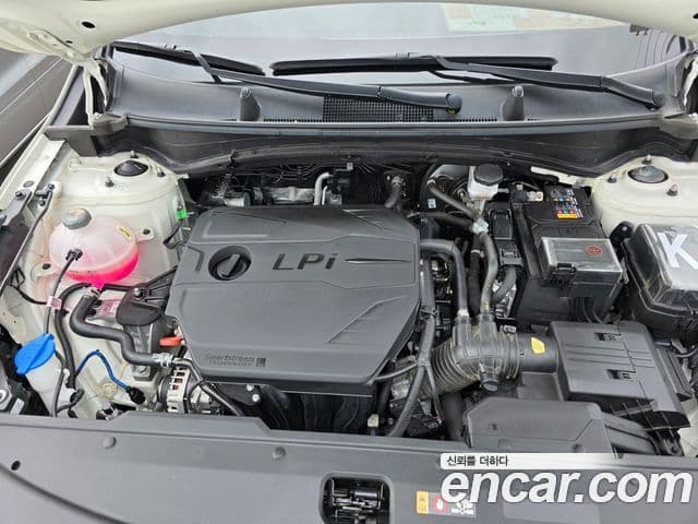 Kia Sportage 2024 — ფოტო 5/20