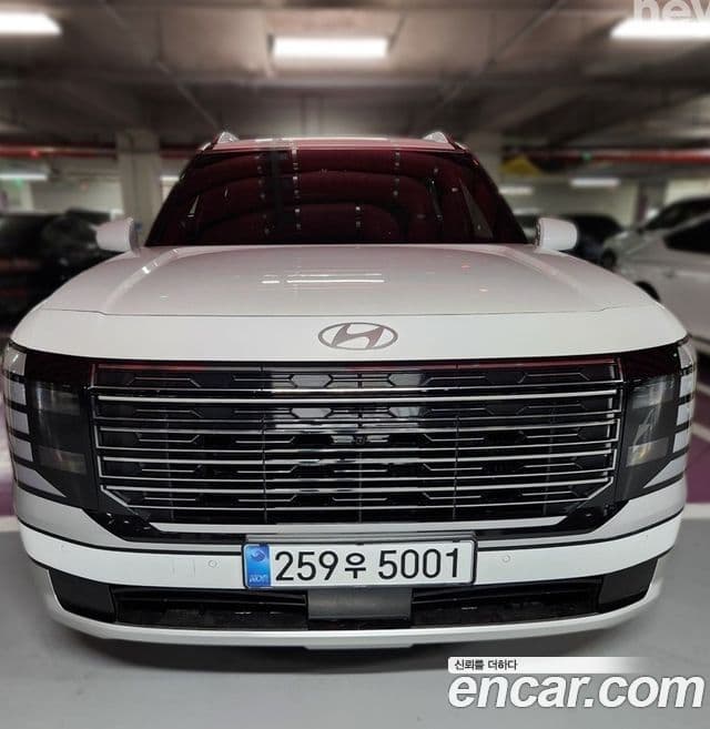 Hyundai Palisade 2026 — ფოტო 11/11