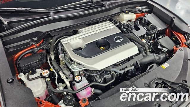 Lexus UX250h 2023 — Şəkil 6/20
