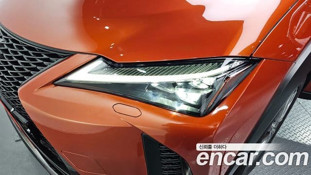 Lexus UX250h 2023 — Photo 13/30
