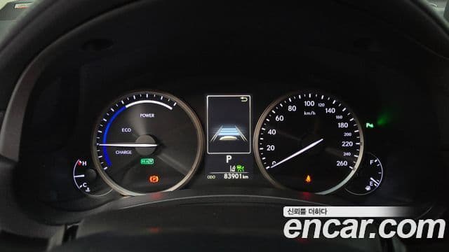 Lexus NX300h 2019 — ფოტო 8/20