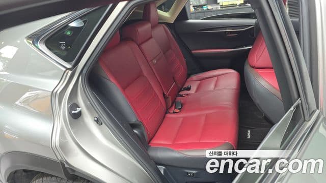 Lexus NX300h 2019 — ფოტო 11/20