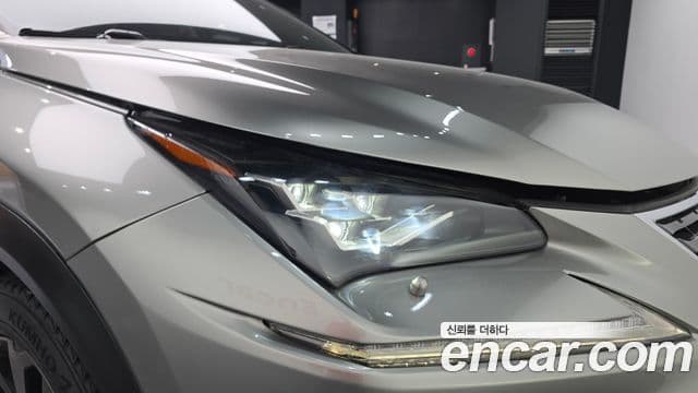 Lexus NX300h 2019 — Photo 13/35