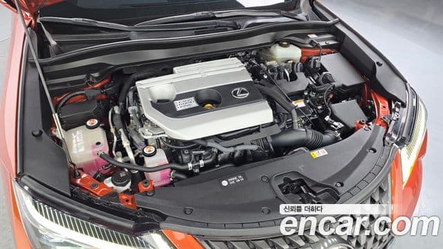 Lexus UX250h 2019 — Şəkil 6/20