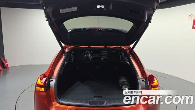 Lexus UX250h 2019 — Şəkil 20/20