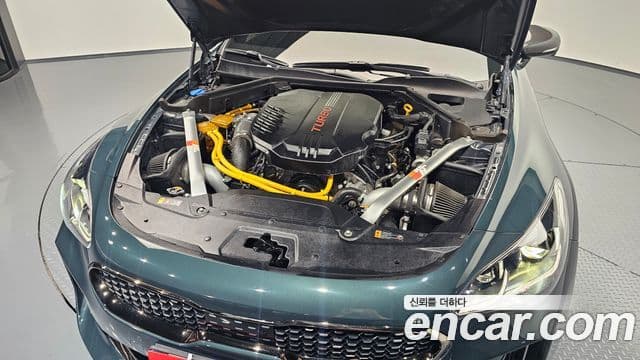 Kia Stinger 2021 — ფოტო 6/20