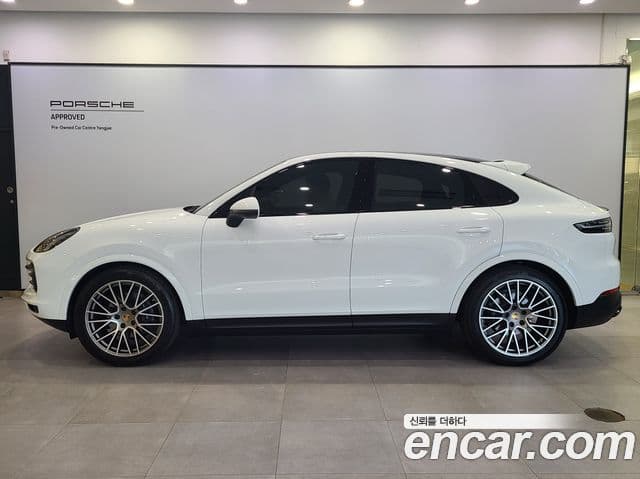 Porsche Cayenne 2023 — ფოტო 11/20